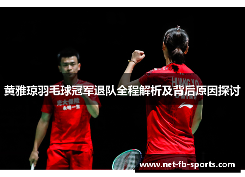 黄雅琼羽毛球冠军退队全程解析及背后原因探讨