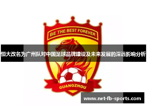 恒大改名为广州队对中国足球品牌建设及未来发展的深远影响分析
