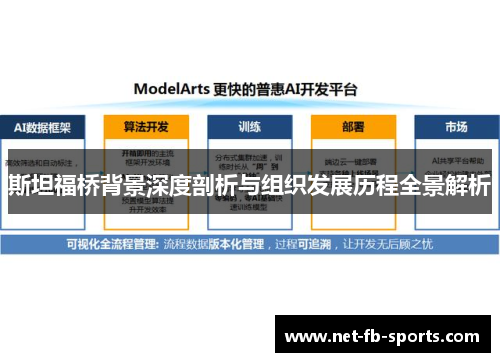斯坦福桥背景深度剖析与组织发展历程全景解析
