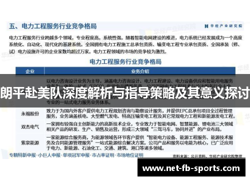 朗平赴美队深度解析与指导策略及其意义探讨